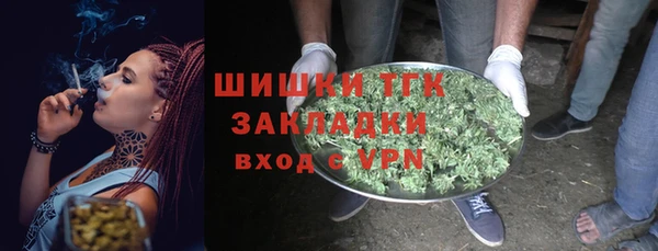 прущие грибы Абаза