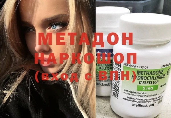 прущие грибы Абаза
