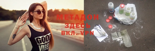 ГАЛЛЮЦИНОГЕННЫЕ ГРИБЫ Тайга