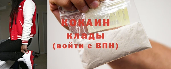 ПСИЛОЦИБИНОВЫЕ ГРИБЫ Арсеньев