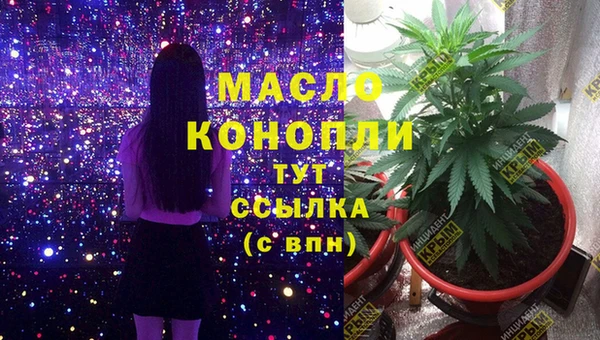 прущие грибы Абаза