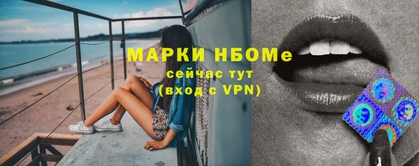 ПСИЛОЦИБИНОВЫЕ ГРИБЫ Арсеньев