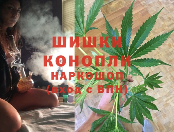 ГАЛЛЮЦИНОГЕННЫЕ ГРИБЫ Алзамай