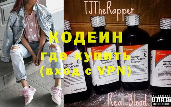прущие грибы Абаза