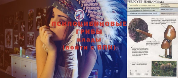 амф Абдулино
