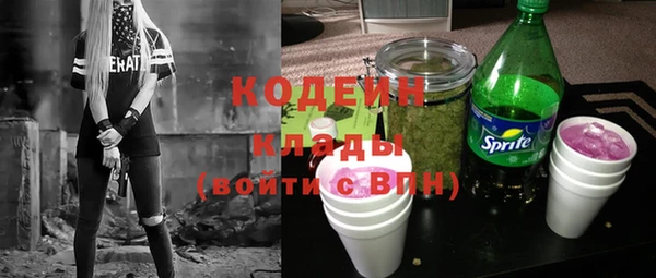 ПСИЛОЦИБИНОВЫЕ ГРИБЫ Арсеньев