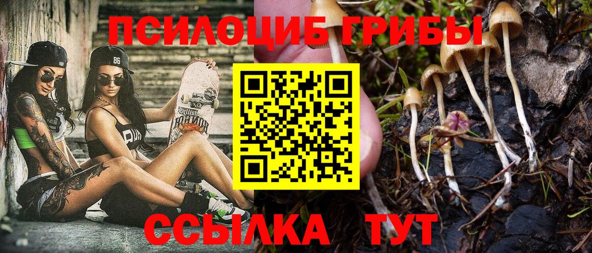Галлюциногенные грибы Cubensis Киров